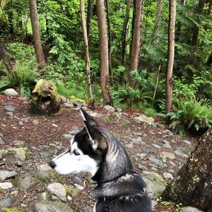 Meet your Posher, Posh